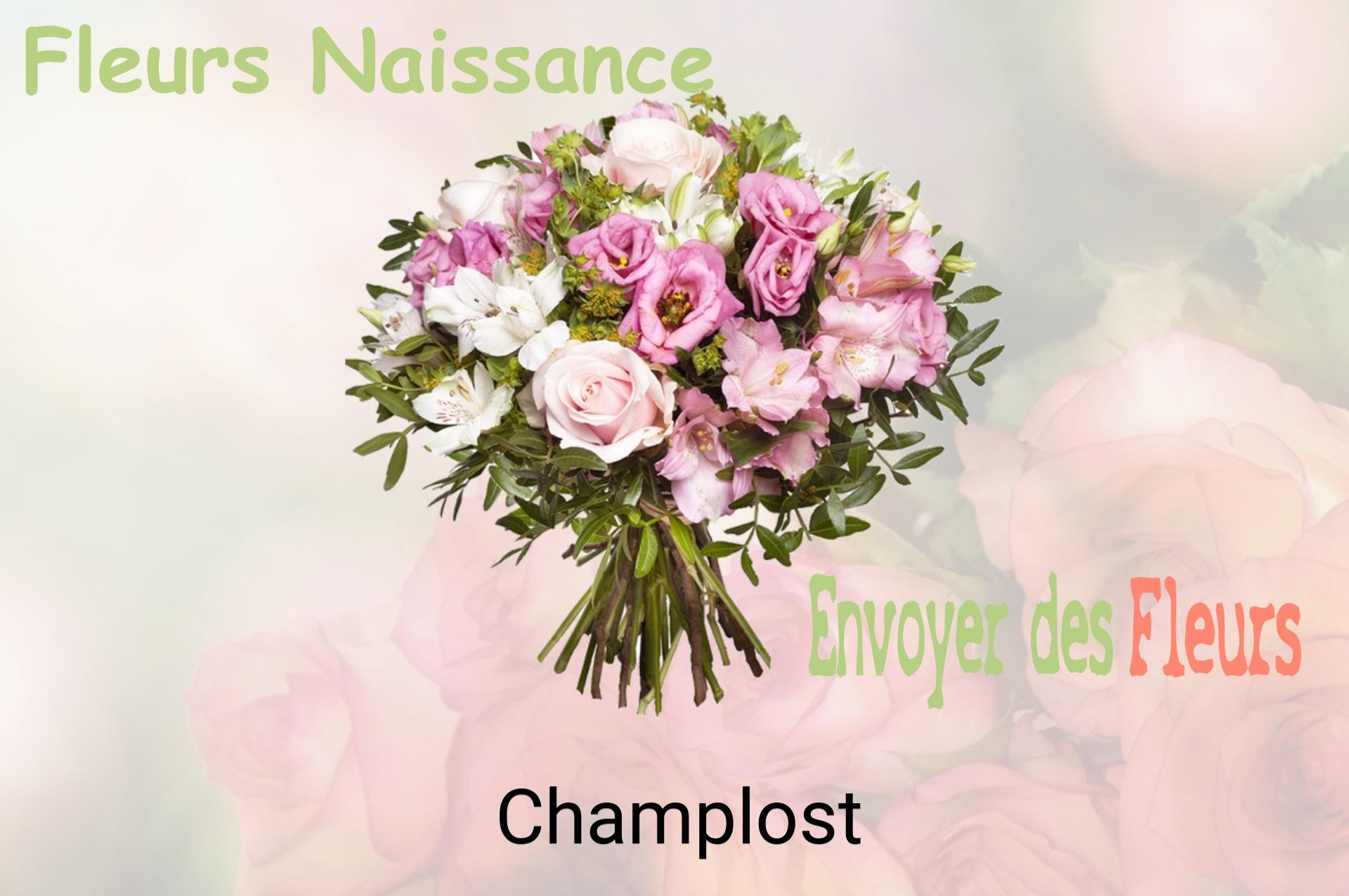 Bouquet de fleurs de naissance livré à Champlost