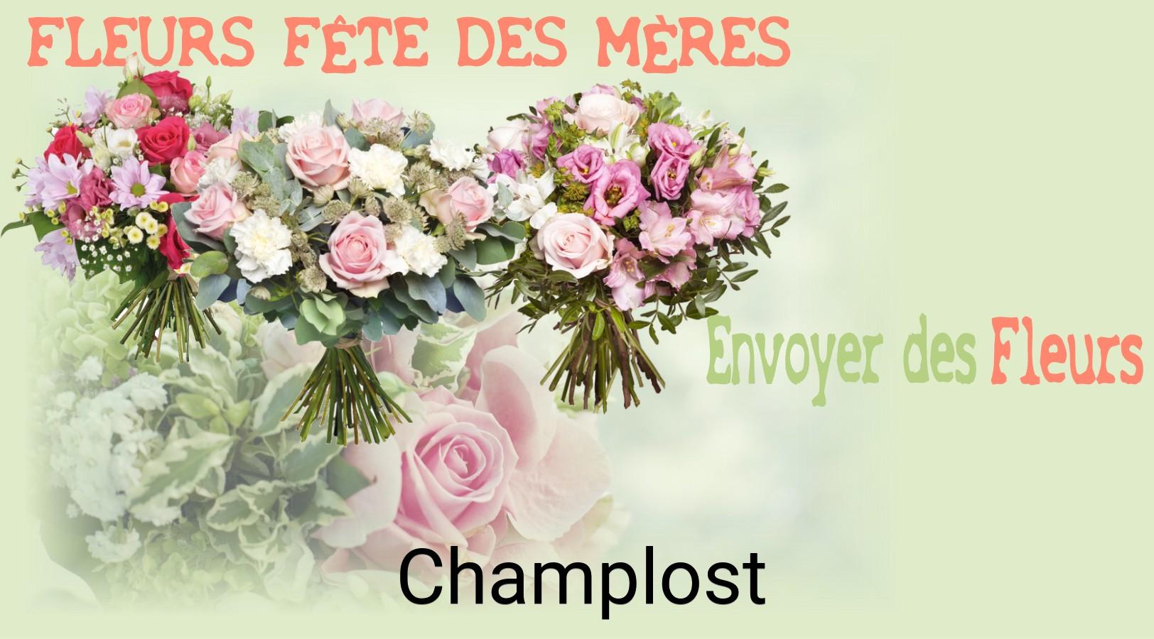 Bouquet de Fête des Mères livré à Champlost
